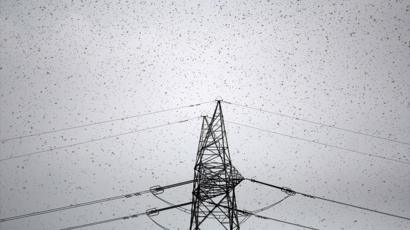 India locusts: Swarm sweeps into Delhi suburb Gurgaon