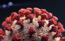 Covid reinfection: Man gets Covid twice and second hit ‘more severe