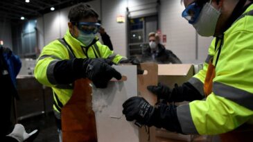 Covid: EU launches mass vaccination in ‘touching moment of unity’