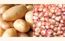 New harvest of potatoes and onions expected to push prices down in Dhaka