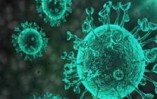 “In UK corona type” B117 “is not so high risk”: Researchers