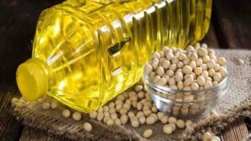 Traders themselves raised the price of soybean oil