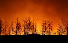 Turkey fires: Blazes threaten Marmaris and other coastal resorts