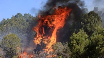 Forest Service says it started all of New Mexico’s largest wildfire