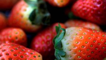 US, Canada investigate Hepatitis A outbreak linked to organic strawberries