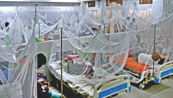 Dengue fever: 9 deaths, 882 hospitalised in a single day