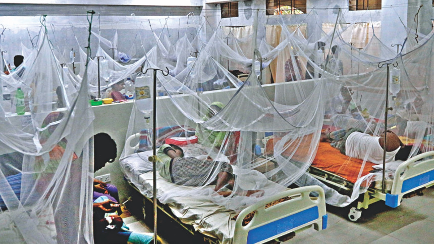 Dengue fever: 9 deaths, 882 hospitalised in a single day