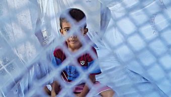 Dengue fever: 6 die, 918 hospitalised in 24hrs