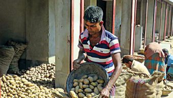Unsold potatoes from last year: Farmers, traders counting losses