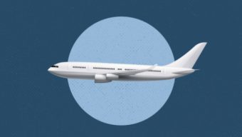 Govt bans foreign travel of public sector employees