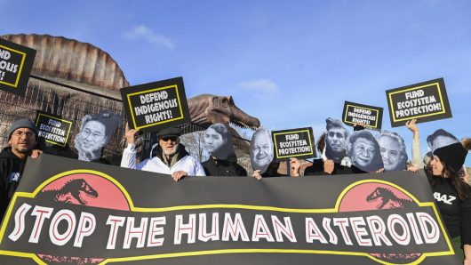 Avaaz calls for action to stop extinction crisis as COP15 reaches endgame