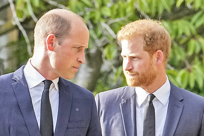 Prince Harry accuses brother William of 2019 physical attack