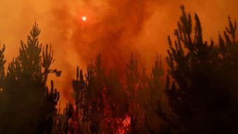 23 dead as dozens of wildfires torch forests in Chile