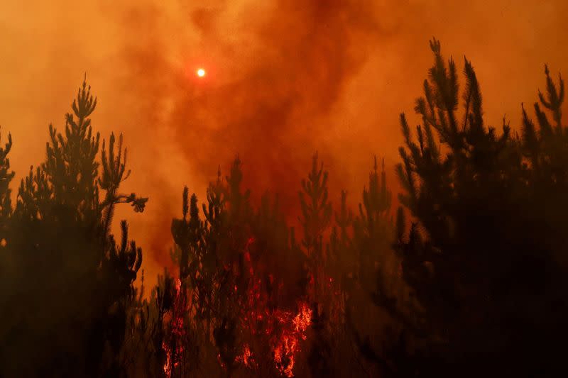 23 dead as dozens of wildfires torch forests in Chile