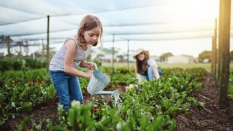 How to be a sustainable parent