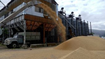 Poland, Hungary ban grain and food imports from Ukraine