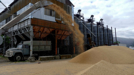 Poland, Hungary ban grain and food imports from Ukraine