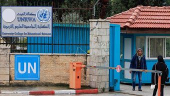 Row over UN agency ‘distraction’ from dire Gaza crisis: WHO